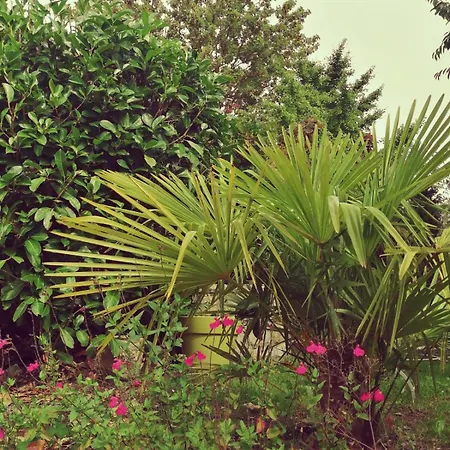 Bed and breakfast Le Cerisier Sivry-Courtry